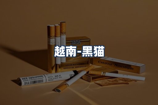 越南黑猫